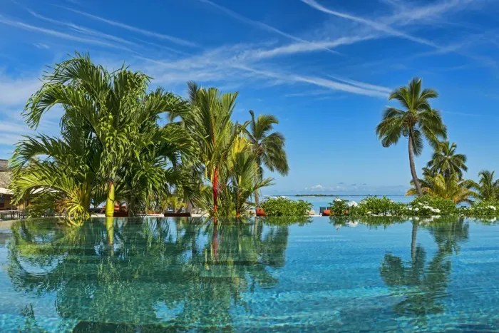Framed Print : Lush vegetation by the water, Moorea, French Polynesia Framed Print : Lush vegetation by the water, Moorea, French Polynesia
