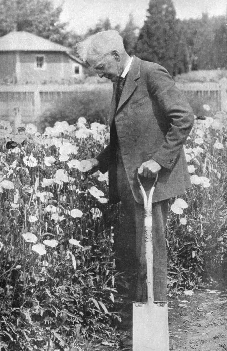 Framed Print : Luther Burbank in His Garden Framed Print : Luther Burbank in His Garden