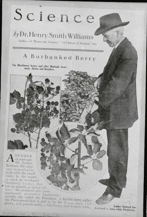 Framed Print : Luther Burbank with His Various Fruit Creations Framed Print : Luther Burbank with His Various Fruit Creations