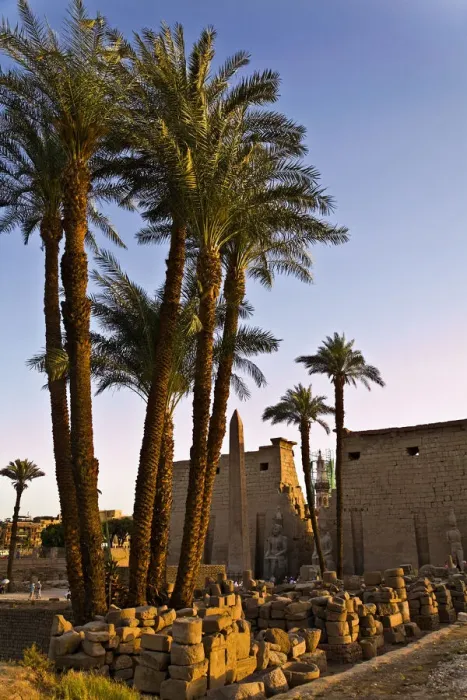 Framed Print : luxor temple. egypt Framed Print : luxor temple. egypt