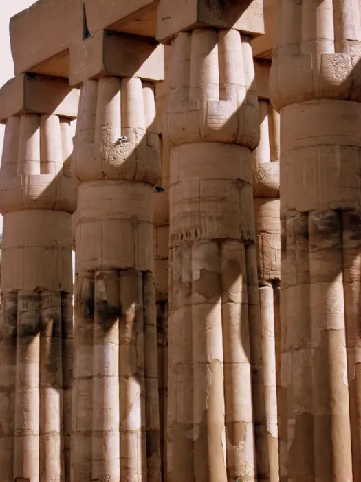 Framed Print : Luxor temple, Egypt