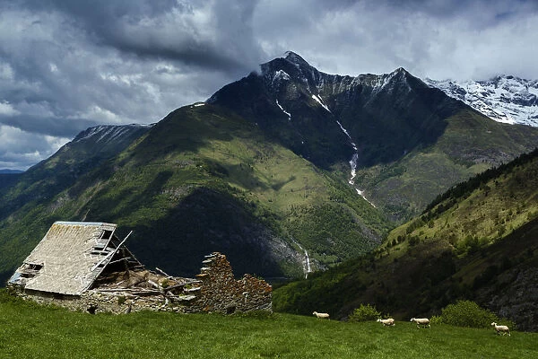 Lyses valley, national park of Pyrenees, Hautes Pyrenees, France
