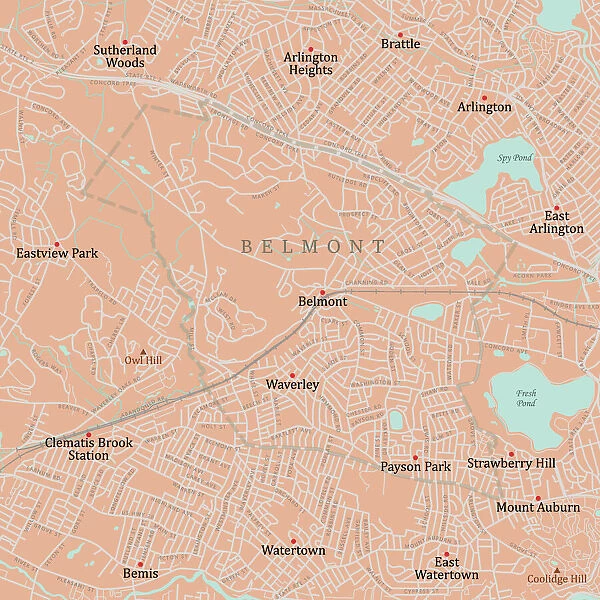 MA Middlesex Belmont Vector Road Map