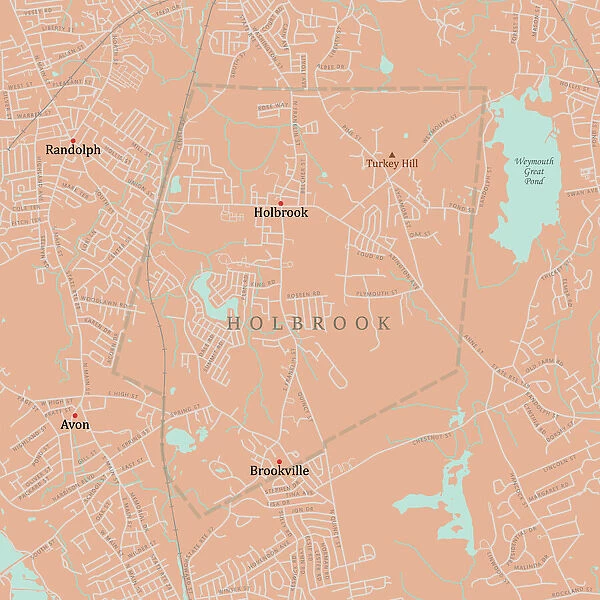 MA Norfolk Holbrook Vector Road Map