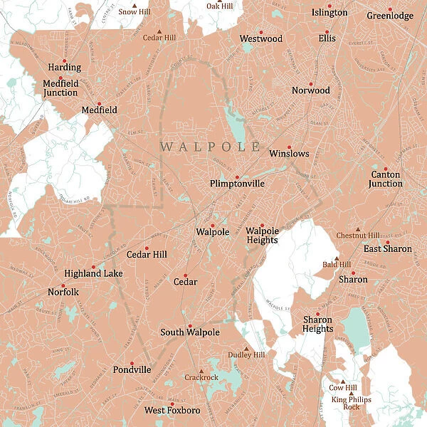 MA Norfolk Walpole Vector Road Map