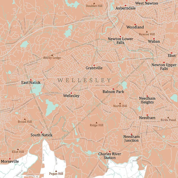 MA Norfolk Wellesley Vector Road Map