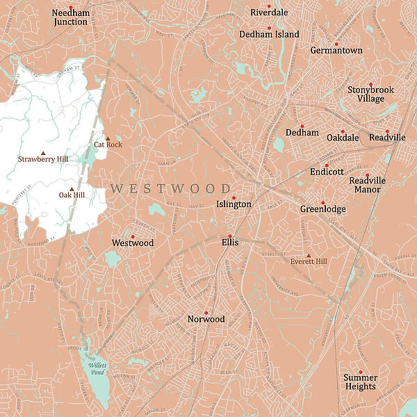 MA Norfolk Westwood Vector Road Map