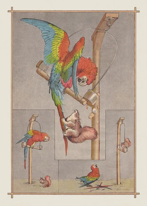 Framed Print : Macaw and squirrel, chromolithograph, published in 1888 Framed Print : Macaw and squirrel, chromolithograph, published in 1888