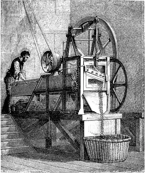 Machine for cutting Tobacco - 19th century