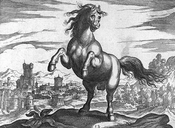 Mad Horse. circa 1800: A horse with a curious facial expression on a hilltop above a town