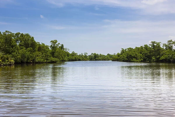 Madampe Lake, nature reserve near Godahena, Galle Region, Southern Province, Sri Lanka