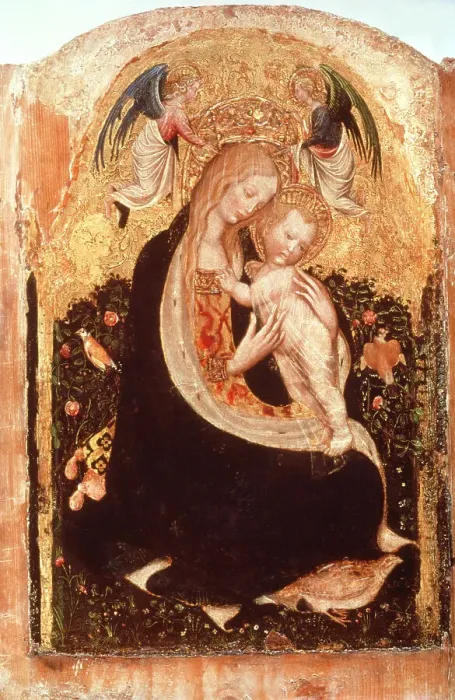 Framed Print : Madonna of the Quail Framed Print : Madonna of the Quail
