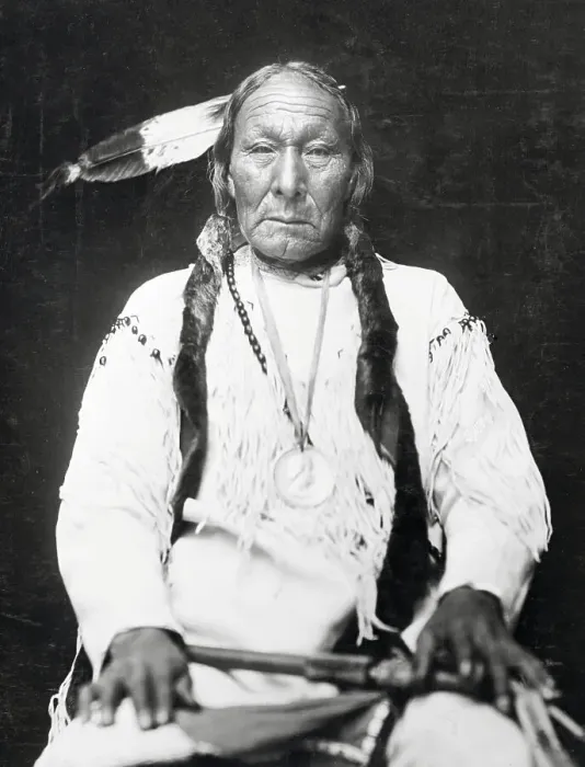 Framed Print : Magpie of the Cheyenne Framed Print : Magpie of the Cheyenne