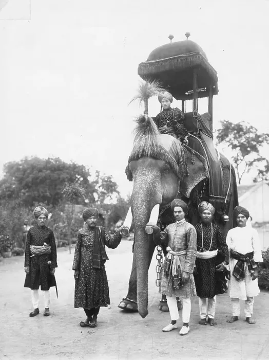 Framed Print : Maharajah's Elephant Framed Print : Maharajah's Elephant