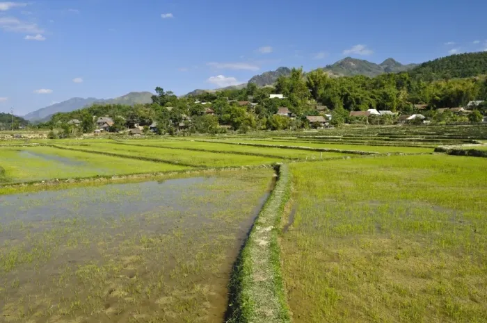 Framed Print : Mai Chau Valley, Vietnam, Asia Framed Print : Mai Chau Valley, Vietnam, Asia