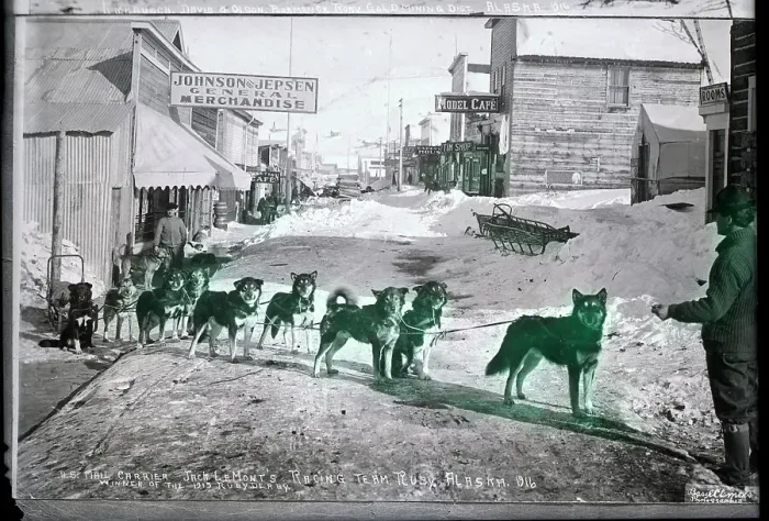 Framed Print : Mail Carrying, Derby Winning Dogsled Team Framed Print : Mail Carrying, Derby Winning Dogsled Team