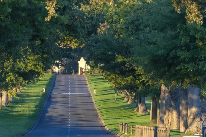 Framed Print : Main Avenue leading to Groot Constantia, Cape Town. RSA