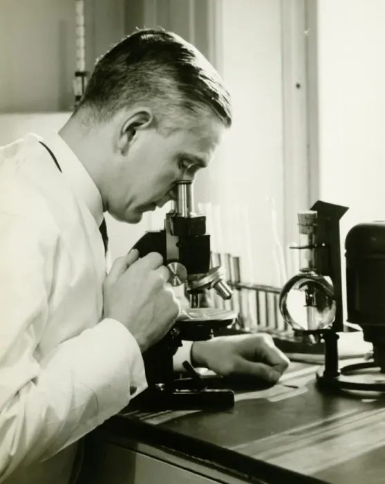 Framed Print : Male doctor using microscope in surgery, (B&W) Framed Print : Male doctor using microscope in surgery, (B&W)