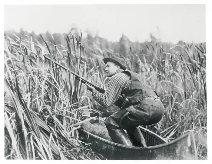 Framed Print : Mallard Hunter Framed Print : Mallard Hunter