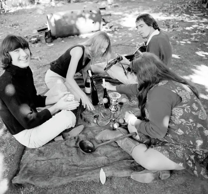 Framed Print : The Mamas And The Papas Picnic