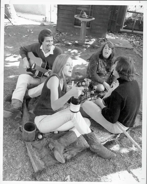 Framed Print : The Mamas And The Papas Picnic Framed Print : The Mamas And The Papas Picnic
