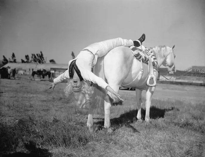 Framed Print : Mamie Van Doren Hanging off Rear of Horse Framed Print : Mamie Van Doren Hanging off Rear of Horse