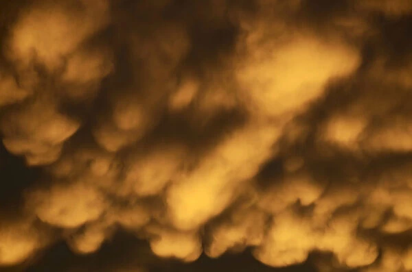 Mammary or breast clouds -Cumulonimbus mamma- of a disintegrating thunderstorm in the evening light