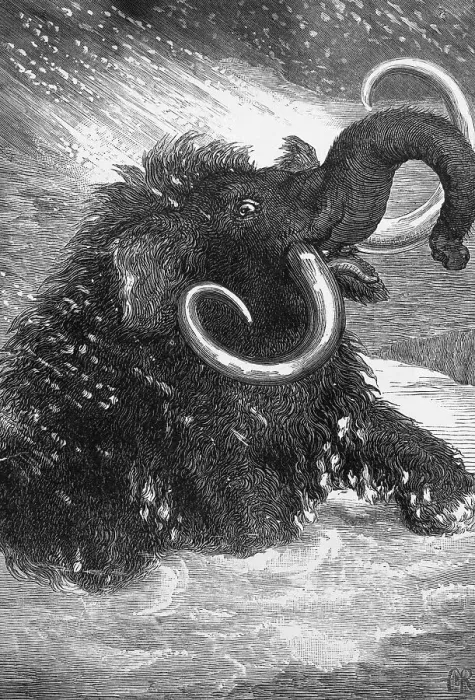 Framed Print : Mammoth. (Original Caption). The last of the mammoths Framed Print : Mammoth. (Original Caption). The last of the mammoths
