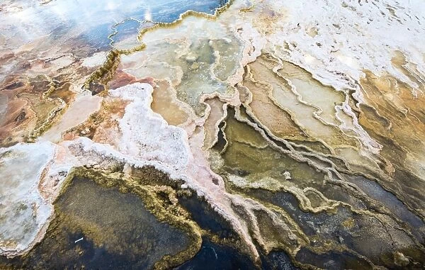Mammoth Hot Springs, Yellowstone National Park, Color Image, Day, Geology, Hot Spring