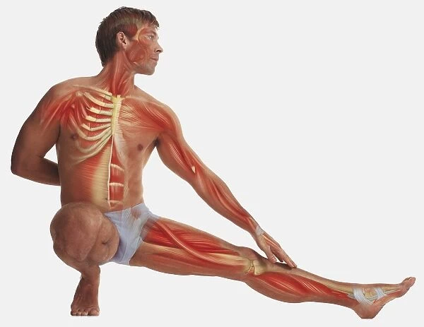 Man balancing on one foot, kneeling, other foot stretched out, hand behind back, other hand touching outstretched leg, illustration of his muscles and skeleton overlaid on body