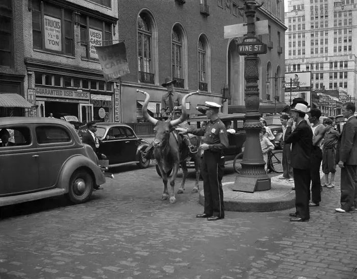 Framed Print : Man on bull on city street