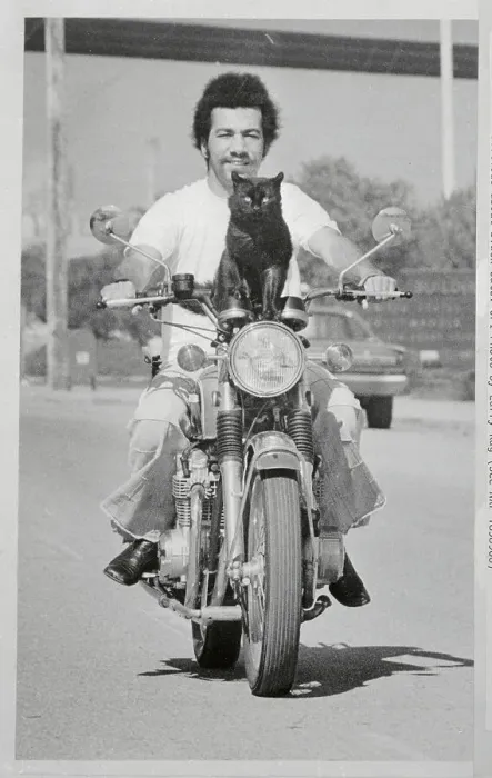 Framed Print : Man and Cat Traveling by Motorcycle Framed Print : Man and Cat Traveling by Motorcycle