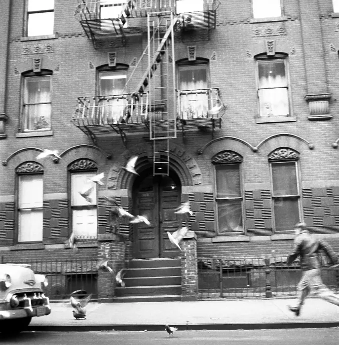 Framed Print : Man Chases Pigeons in 1957 Manhattan Framed Print : Man Chases Pigeons in 1957 Manhattan