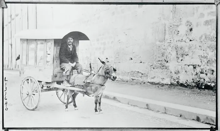 Framed Print : Man Driving Donkey Driven Cart Framed Print : Man Driving Donkey Driven Cart