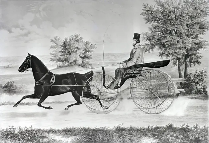 Framed Print : Man Driving Horse And Buggy In Summer Framed Print : Man Driving Horse And Buggy In Summer