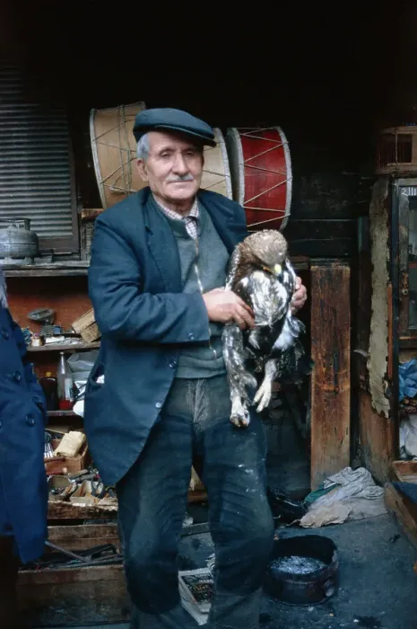 Framed Print : Man With Eagle Framed Print : Man With Eagle