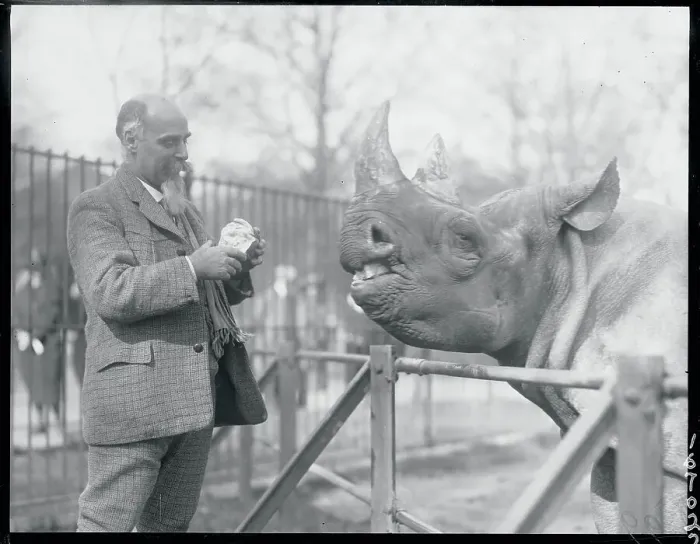 Framed Print : Man Feeding a Rhinoceros