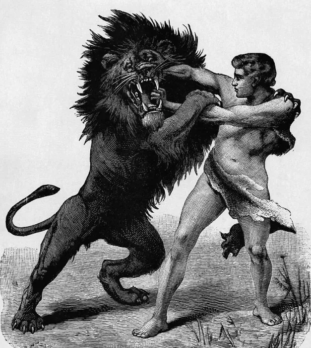 Framed Print : Man Fighting A Lion On Hind Legs;Engravi Framed Print : Man Fighting A Lion On Hind Legs;Engravi