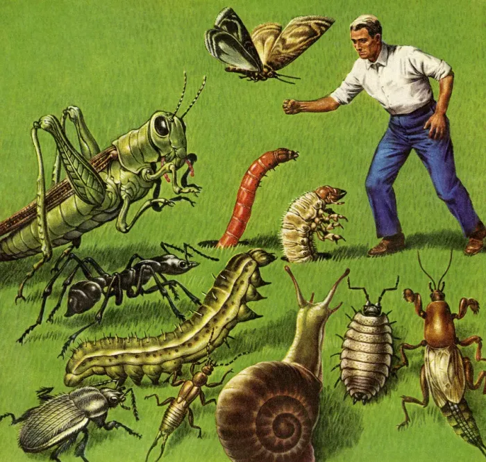 Framed Print : Man and Giants Bugs Framed Print : Man and Giants Bugs