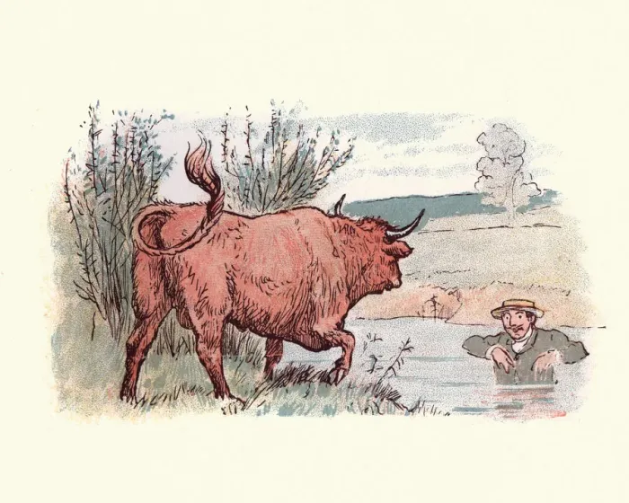 Framed Print : Man hiding in a river from a bull