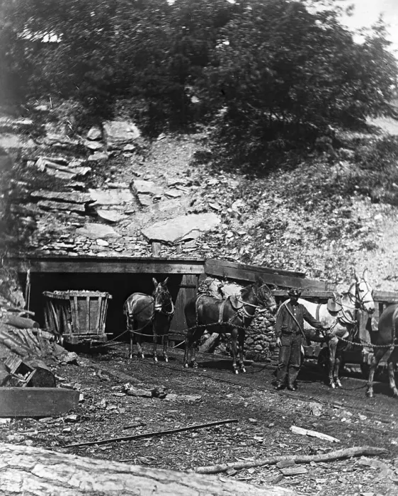 Framed Print : Man Holding Mules at Coal Mine Entrance Framed Print : Man Holding Mules at Coal Mine Entrance
