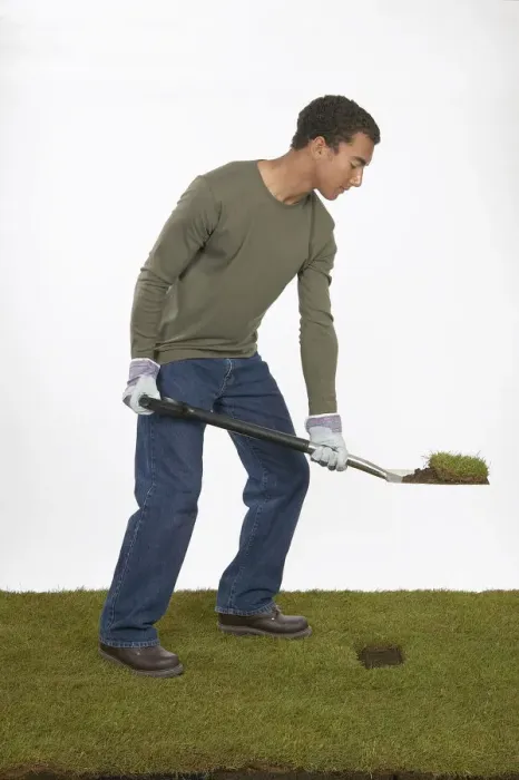 Framed Print : Man holding a spade with section of turf on the blade Framed Print : Man holding a spade with section of turf on the blade