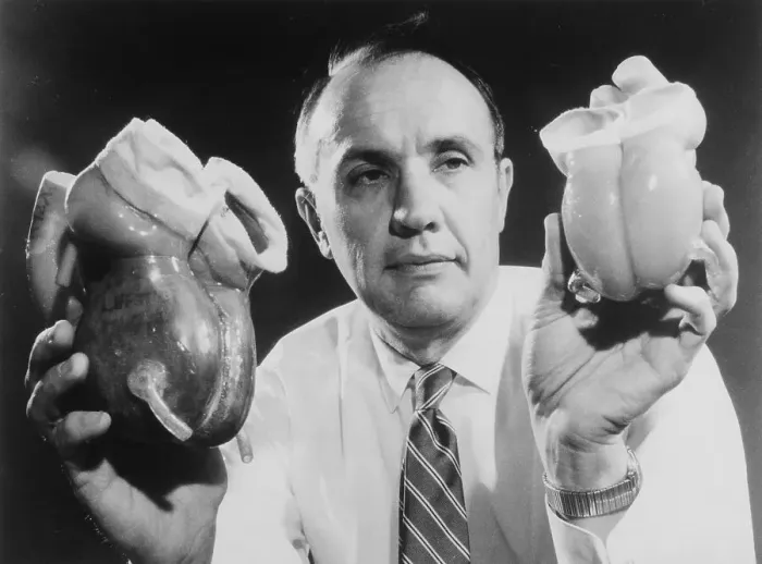 Framed Print : Man Holds Two Artificial Hearts Framed Print : Man Holds Two Artificial Hearts