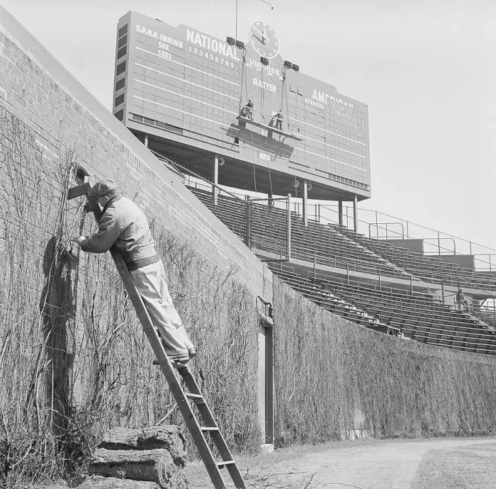 Framed Print : Man on Ladder Working on Wrigley Stadium