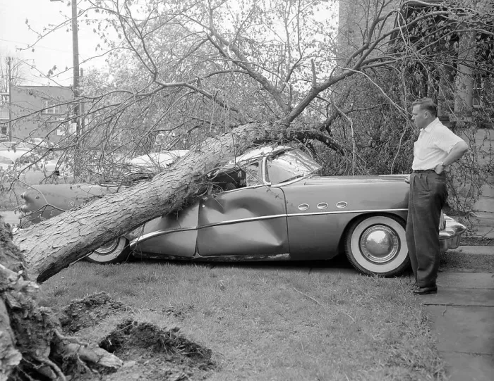 Framed Print : Man Looking at His Damaged Car. Cleveland, Ohio, USA. May 13, 1956 Framed Print : Man Looking at His Damaged Car. Cleveland, Ohio, USA. May 13, 1956