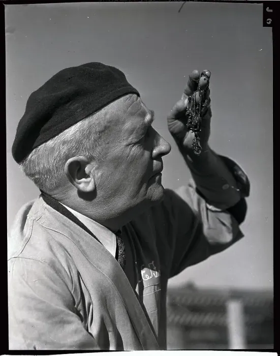 Framed Print : Man Looking at Worms Framed Print : Man Looking at Worms