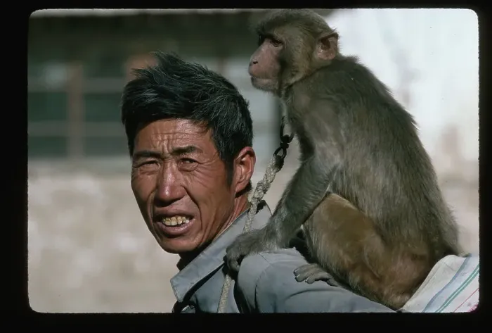 Framed Print : Man with Monkey on His Back
