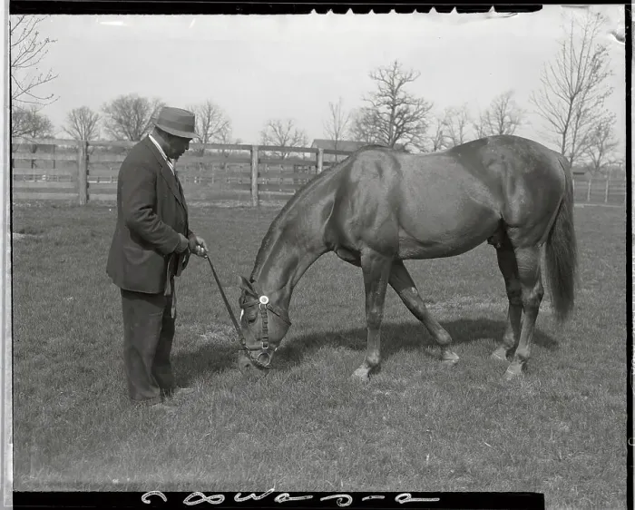 Framed Print : Man O War Eating Grass Framed Print : Man O War Eating Grass