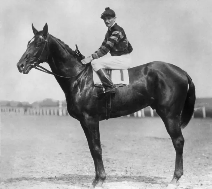 Framed Print : Man O War and Jockey Framed Print : Man O War and Jockey