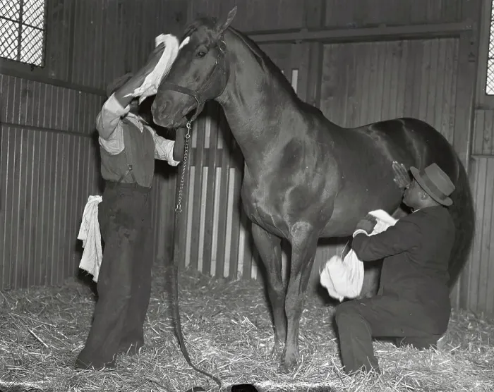 Framed Print : Man O War Being Personally Groomed Framed Print : Man O War Being Personally Groomed